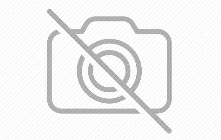 Hurma Poleni Nedir? Geleneksel Kullanımı ve Ürün Formları Hurma Poleni Nedir? Geleneksel Kullanımı ve Ürün Formları